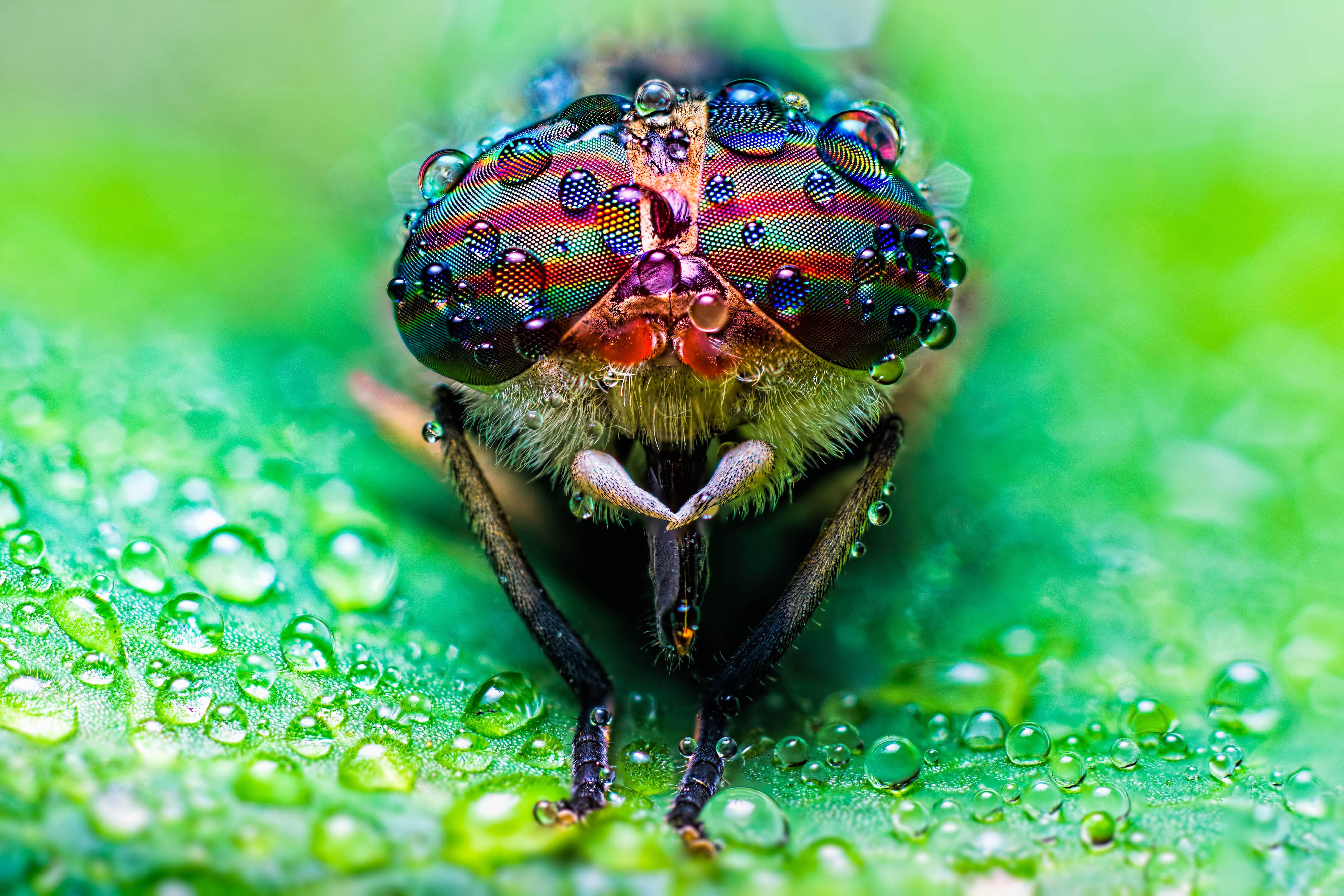 SurfaceTechnology GERMANY 2026